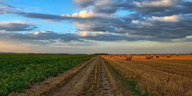 ukraine agriculture
